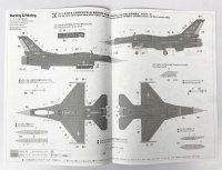 画像2: 1/48　F-16　CM-50　ファイティングファルコン　”ダークバイパー”