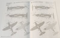 画像2: 1/48　P-47D　レザーバック　’パイド　パイパー’