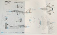 画像2: 1/72　MiG-29　フルクラム　’ホップステン２００１’