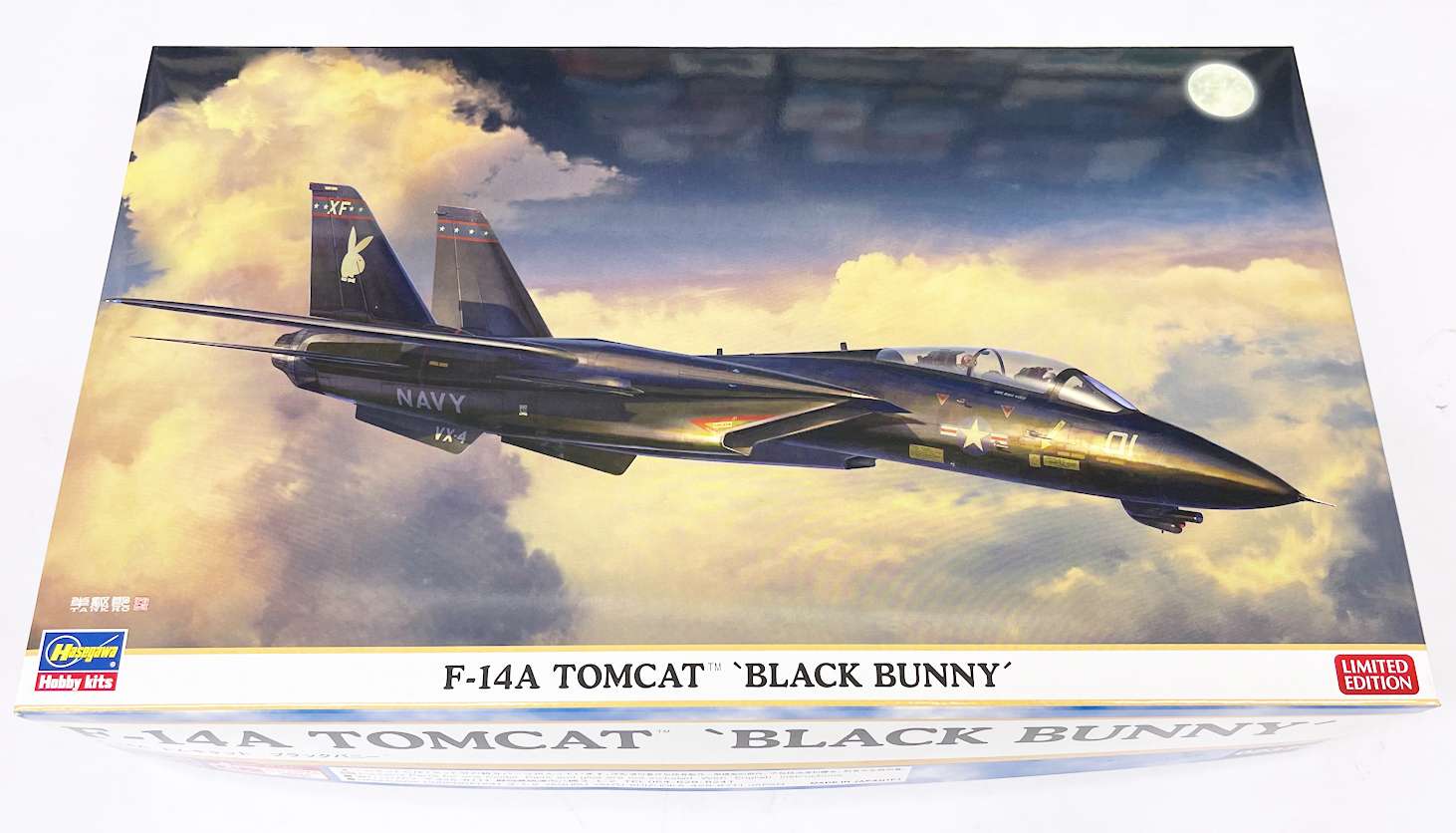 1/72 F-14A トムキャット ”ブラックバニー” サン星
