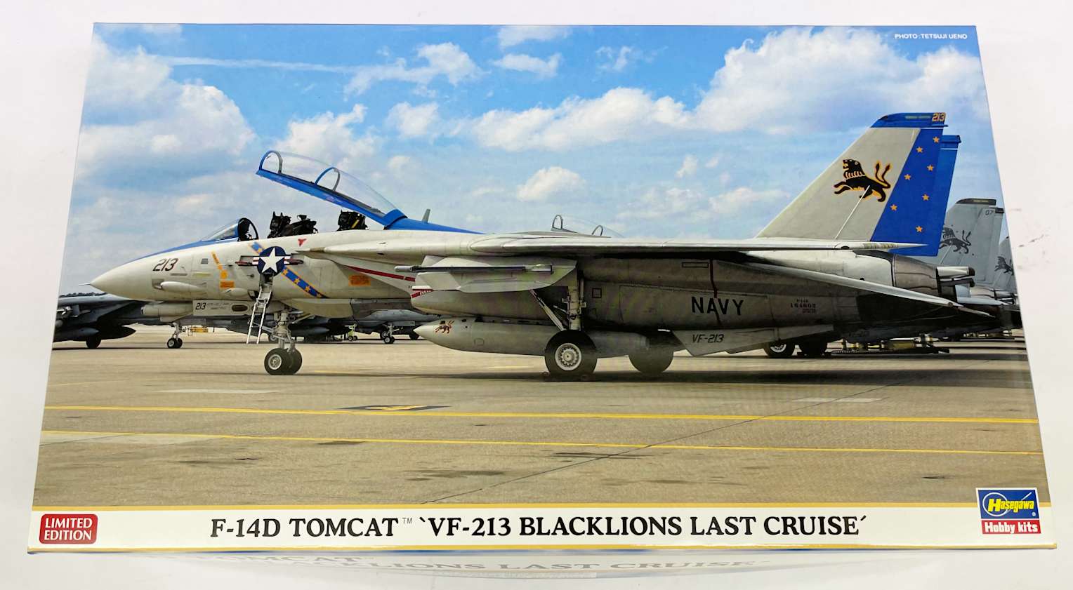 1/72 F-14D トムキャット ”VF-213 ブラックライオンズ ラストクルーズ” サン星